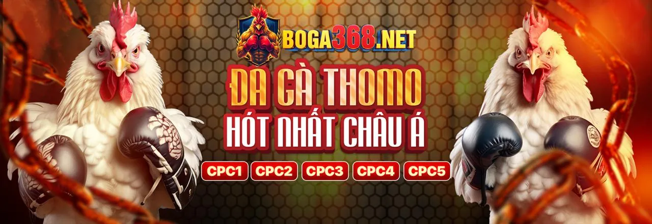 Đá gà trực tuyến Sodo66